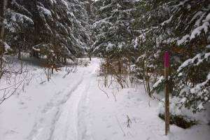 Schneeschuhtour Ste-Croix/L'Auberson