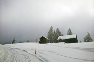 Winterwanderung Wildhaus - Gamperfin