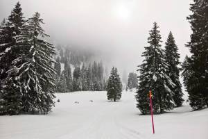 Winterwanderung Wildhaus - Gamperfin