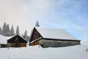 Winterwanderung Wildhaus - Gamperfin