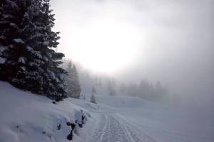 Winterwanderung Wildhaus - Gamperfin