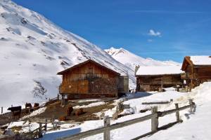 Winterwanderung Juf - Pürt