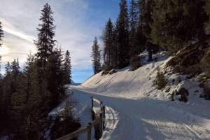 Winterwanderung Wergenstein - Dumagns