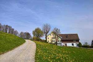 Wanderung St. Gallen/Drei Weiher