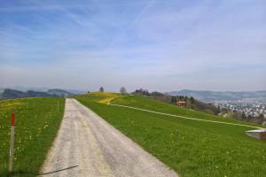 Wanderung St. Gallen/Drei Weiher