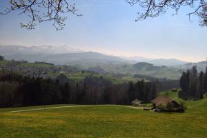 Wanderung St. Gallen/Drei Weiher