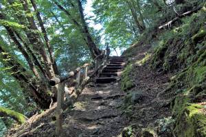 Wanderung San Rocco - Cantine di Gandria