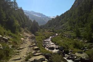 Almagellertal