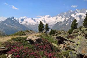 Wanderung Saas-Almagell - Almagelleralp - Saas-Balen