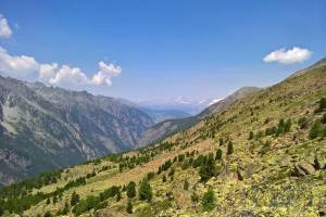 Wanderung Saas-Almagell - Almagelleralp - Saas-Balen