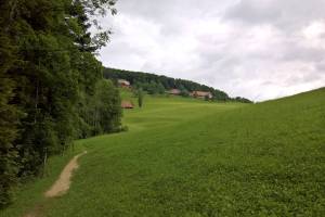 Wanderung Hägendorf - Teufelsschlucht