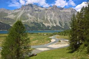 Isola
