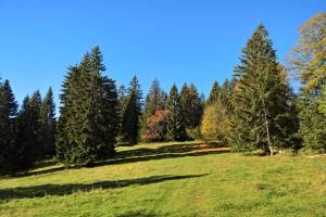 Wanderung Grande Joux - Sagnettes