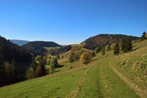 Wanderung Grande Joux - Sagnettes
