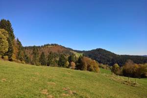 Wanderung Grande Joux - Sagnettes