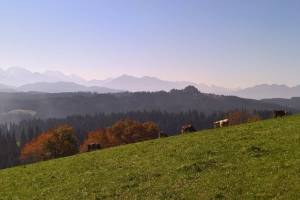 Wanderung Röthenbach - Chuderhüsi - Oberdiessbach