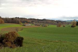 Wanderung Rosshäusern - Heggidorn - Eymatt