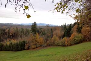 Wanderung Rosshäusern - Heggidorn - Eymatt