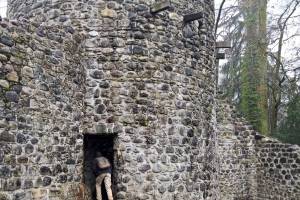 Ruine Wildenburg