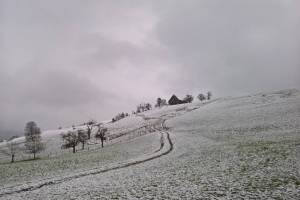 Wanderung Baar - Zugerberg