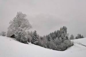 Wanderung Baar - Zugerberg
