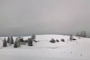 Wanderung Baar - Zugerberg