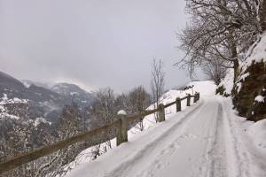 Winterwanderung Waltensburg - Brigels
