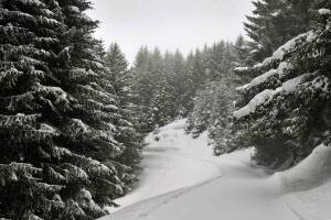 Winterwanderung Obersaxen - Surcuolm - Vella