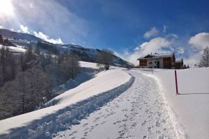 Winterwanderung Obersaxen - Surcuolm - Vella