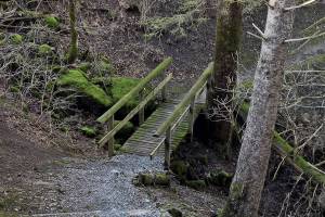 Wanderung Brülisau - Weissbad - Appenzell