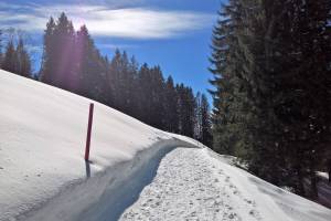 Winterwanderung St. Karl - Ibergeregg