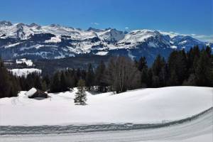 Winterwanderung St. Karl - Ibergeregg