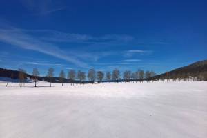 Winterwanderung La Brévine - Lac de Taillère