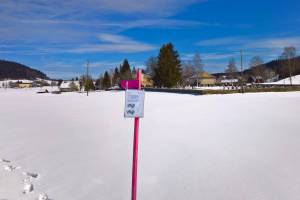 Winterwanderung La Brévine - Lac de Taillère
