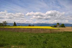 Wanderung Hermance - Meinier