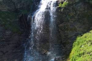 Lauwelibach