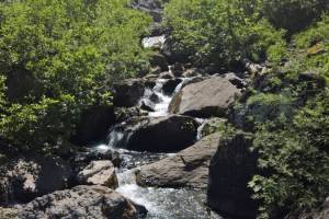 Lauwelibach