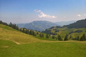 Rigi Dossen