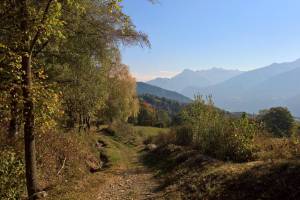 Wanderung Arbaz - Drône - Sion/Pont-de-la-Morge