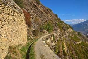 Wanderung Arbaz - Drône - Sion/Pont-de-la-Morge