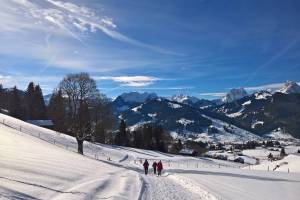 Winterwanderung Saanenmöser - Gstaad
