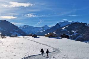 Winterwanderung Saanenmöser - Gstaad