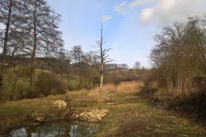 Wanderung Laufenburg - Heuberg - Oeschgen