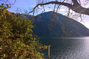 Wanderung Cassarate - Gandria