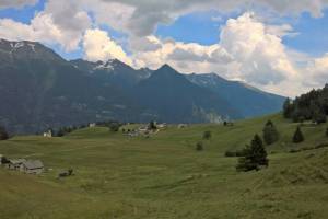 Valposchiavo Selva