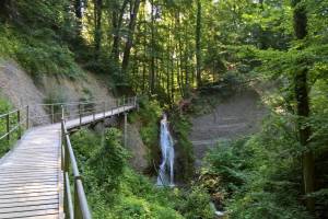 Farenbach Elgg
