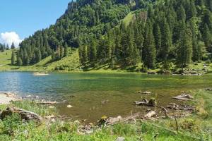 Talalpsee