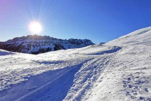 First, Blick zur Schafmatt