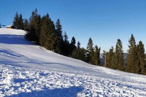 Aufstieg nach First