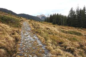Polenweg Alpnach